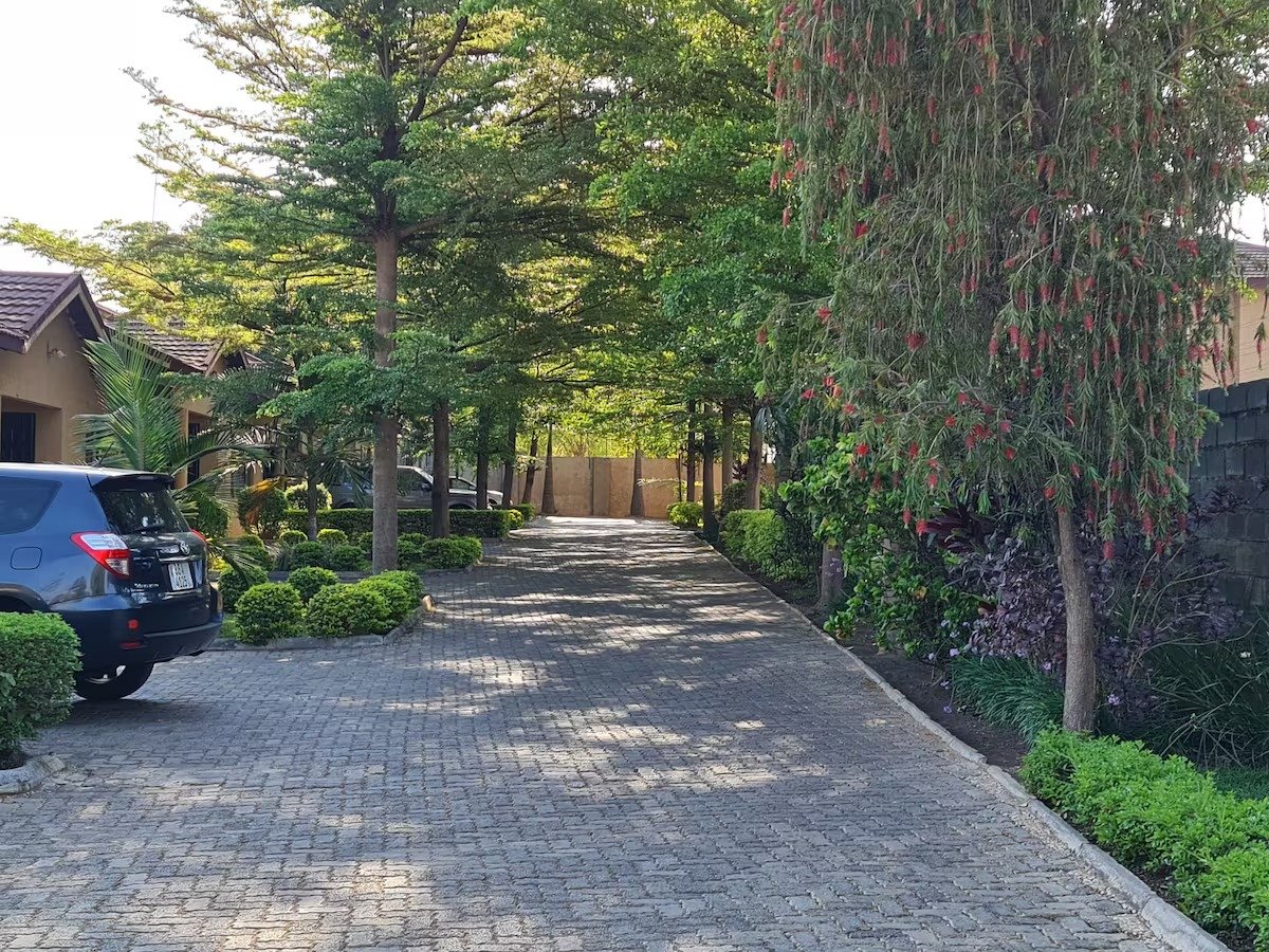 imgi_134_fdb6f5d8-2019-404d-9b4b-c1f2004d0d16